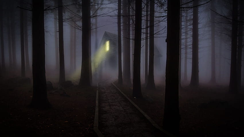 house, forest, fog, creepy, night fog, Forest, House, creepy forest HD wallpaper