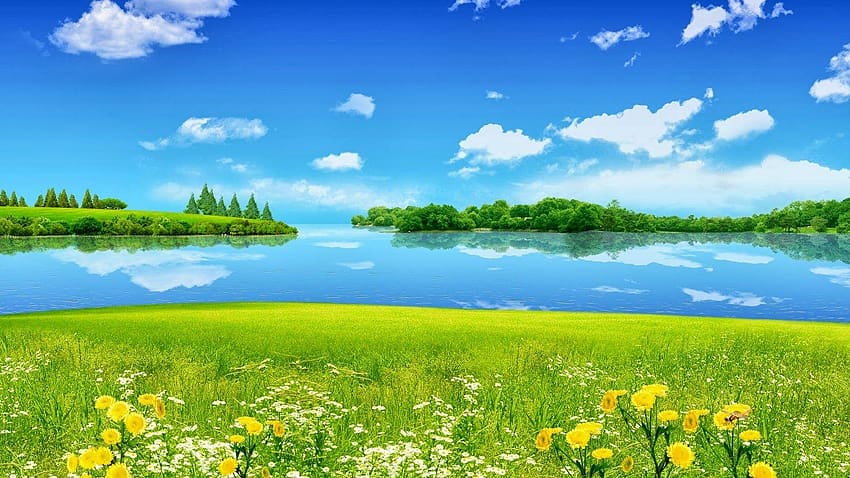 grama, Prado, céu azul, nuvem, lago, flor, verão papel de parede HD