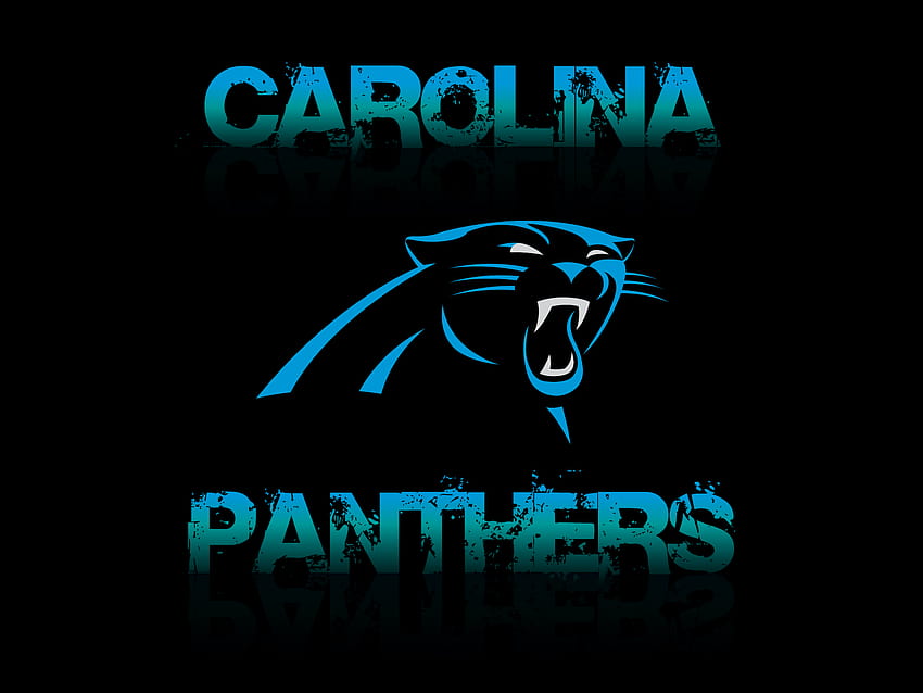 Carolina Panthers New Logo, nfl carolina panthers HD wallpaper