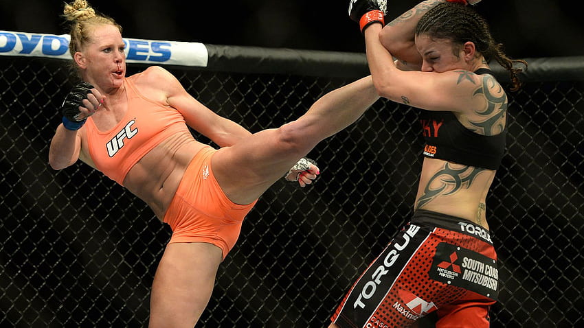 Holly Holm vs Raquel Pennington full fight video highlights from UFC 184 last night HD wallpaper