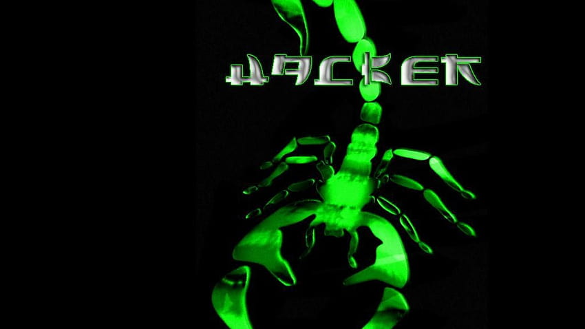 Top 10 for Hackers, hacked screen HD wallpaper