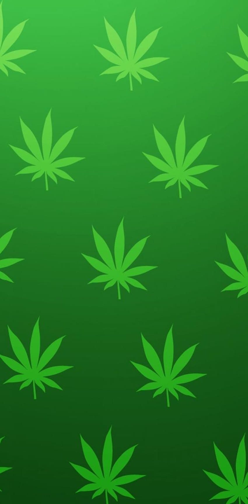 Marijuana Leaf by P3TR1T, cannabis leaf HD phone wallpaper | Pxfuel