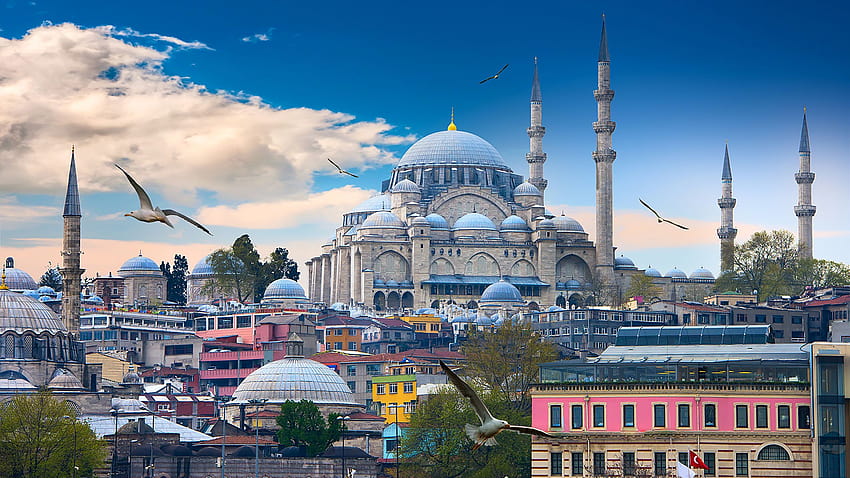 Estambul Pájaros Mezquita Turquía Templos Ciudades 2560x1440 fondo de pantalla