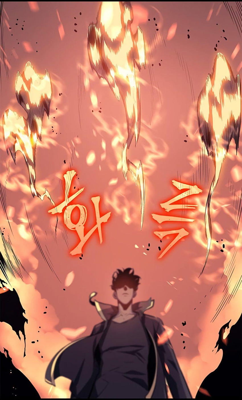 Fireball : sololeveling, demon possessed anime character HD phone wallpaper