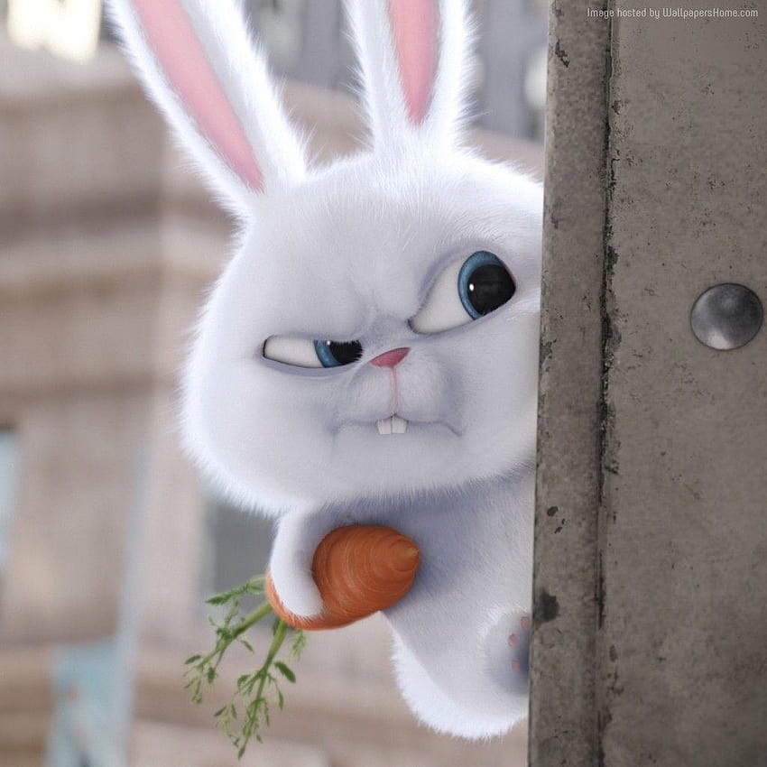 La vita segreta degli animali domestici, coniglio, Migliori film d'animazione Sfondo del telefono HD