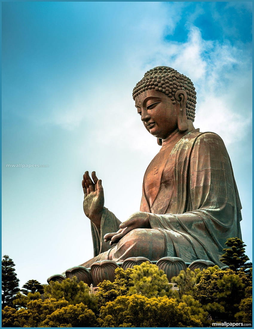 Buddha &, gautam buddha mobile HD phone wallpaper | Pxfuel