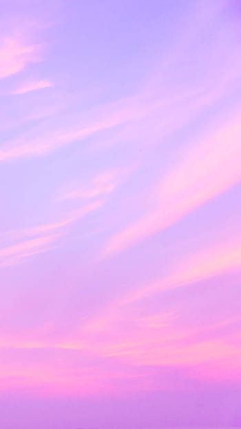 Lilac aesthetic HD wallpapers  Pxfuel