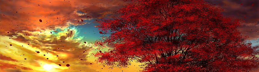 Atardecer de paisaje de otoño de anime, puesta de sol roja de anime fondo  de pantalla | Pxfuel