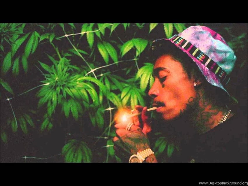 WIZ KHALIFA Rap Raper Hip Hop Gangsta 1wizk Weed Drugs Marijuana, wiz khalifa raper Tapeta HD