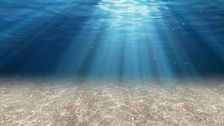 Движение под вода, морско дъно HD тапет