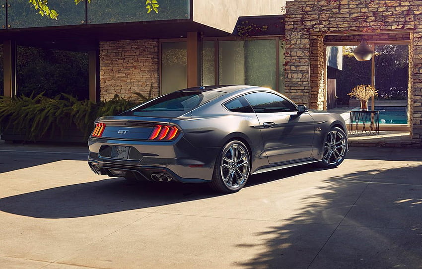 フォード・マスタング, 灰色, 2018、Mustang GT, の背面図、2019 mustang 高画質の壁紙