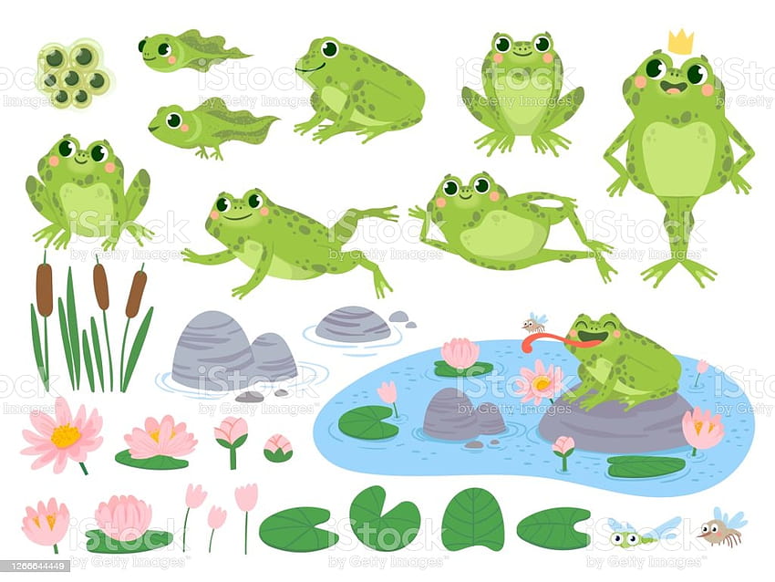 rysunkowe żaby zielona śliczna żaba masa jaj kijanka i żaba rośliny wodne liść lilii wodnej ropuchy dzika przyroda życie wektor zestaw ilustracji, ładny rysunek żaby Tapeta HD