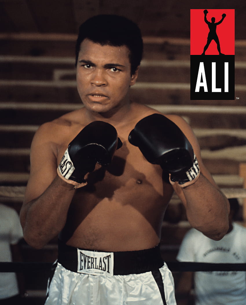 44 Muhammad Ali, Muhammad Ali Boxer HD-Handy-Hintergrundbild