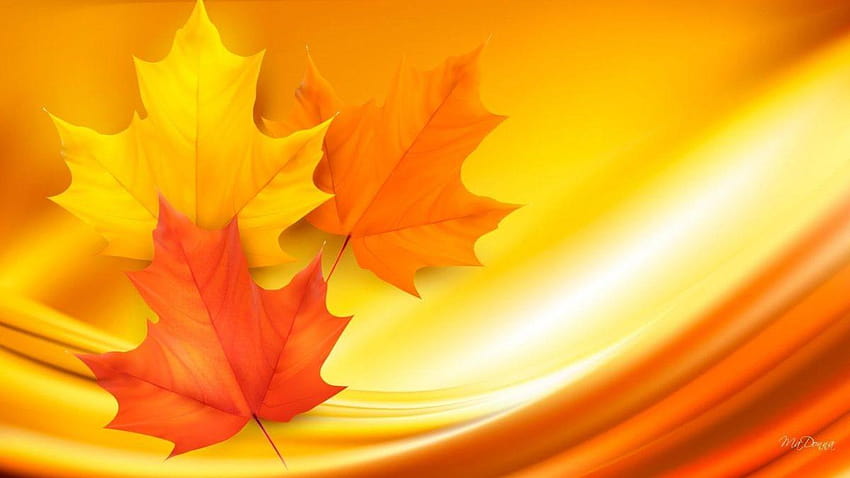 Artistik – Daun Artistik Musim Gugur Daun Maple Oranye Kuning, daun maple kuning Wallpaper HD