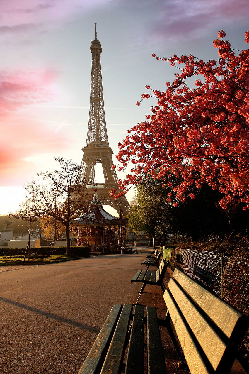 s de la Torre Eiffel Parque completo de alta calidad On Of The And For, de la torre eiffel fondo de pantalla del teléfono