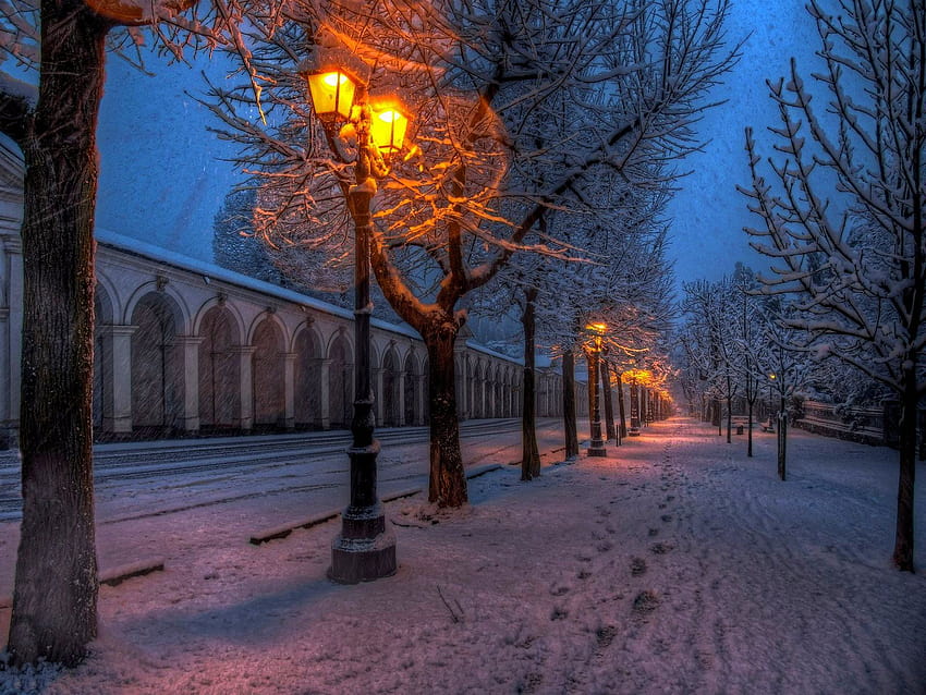 natureza, parque, rua, estrada, caminho, caminhada, inverno, neve, luzes, árvores / e fundos móveis, lâmpada de inverno papel de parede HD
