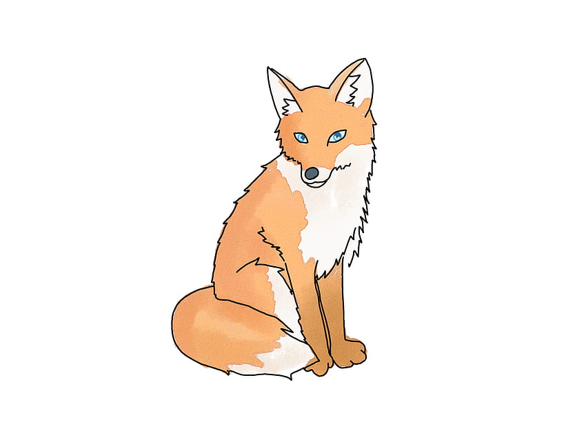  Cómo dibujar un zorro, dibujo de zorro fondo de pantalla