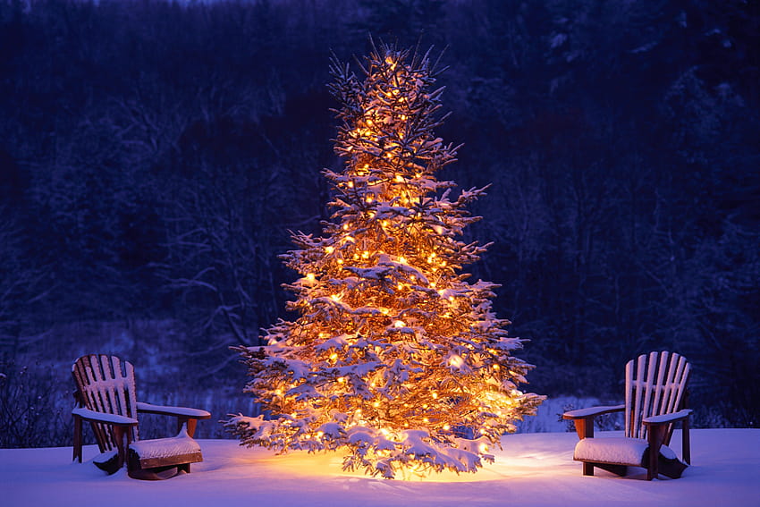 Winter Wonderland Christmas  Free photo on Pixabay  Pixabay