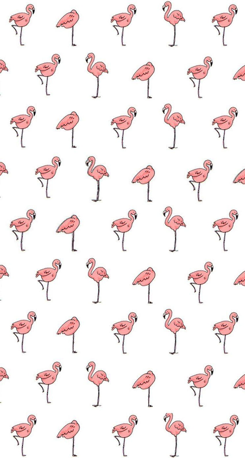 iPhone Flamingos HD phone wallpaper