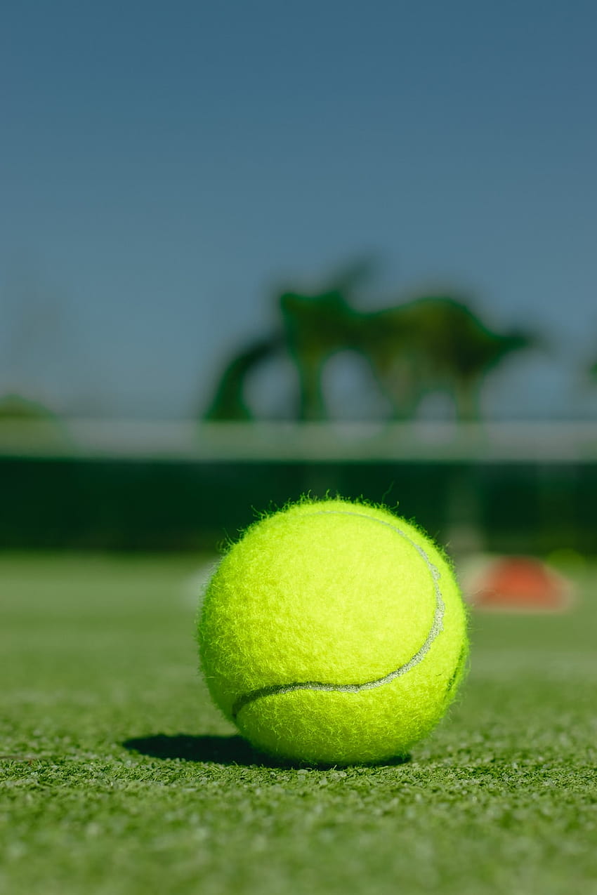 balle de tennis verte sur le terrain en herbe verte pendant la journée - sur, tennis sur gazon Fond d'écran de téléphone HD