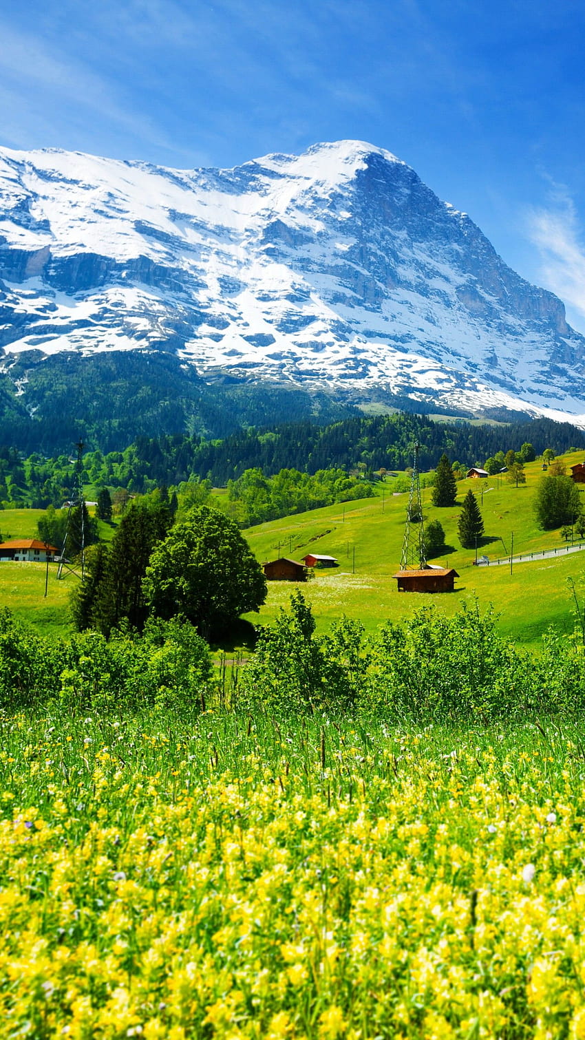 スイス、山、牧草地、スイスの自然 HD電話の壁紙