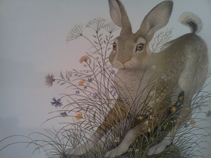 The Artful Deposit:, the velveteen rabbit HD wallpaper