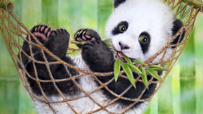 10 Best Cute Baby Panda FULL 1920×1080 For PC Backgrounds, baby ...