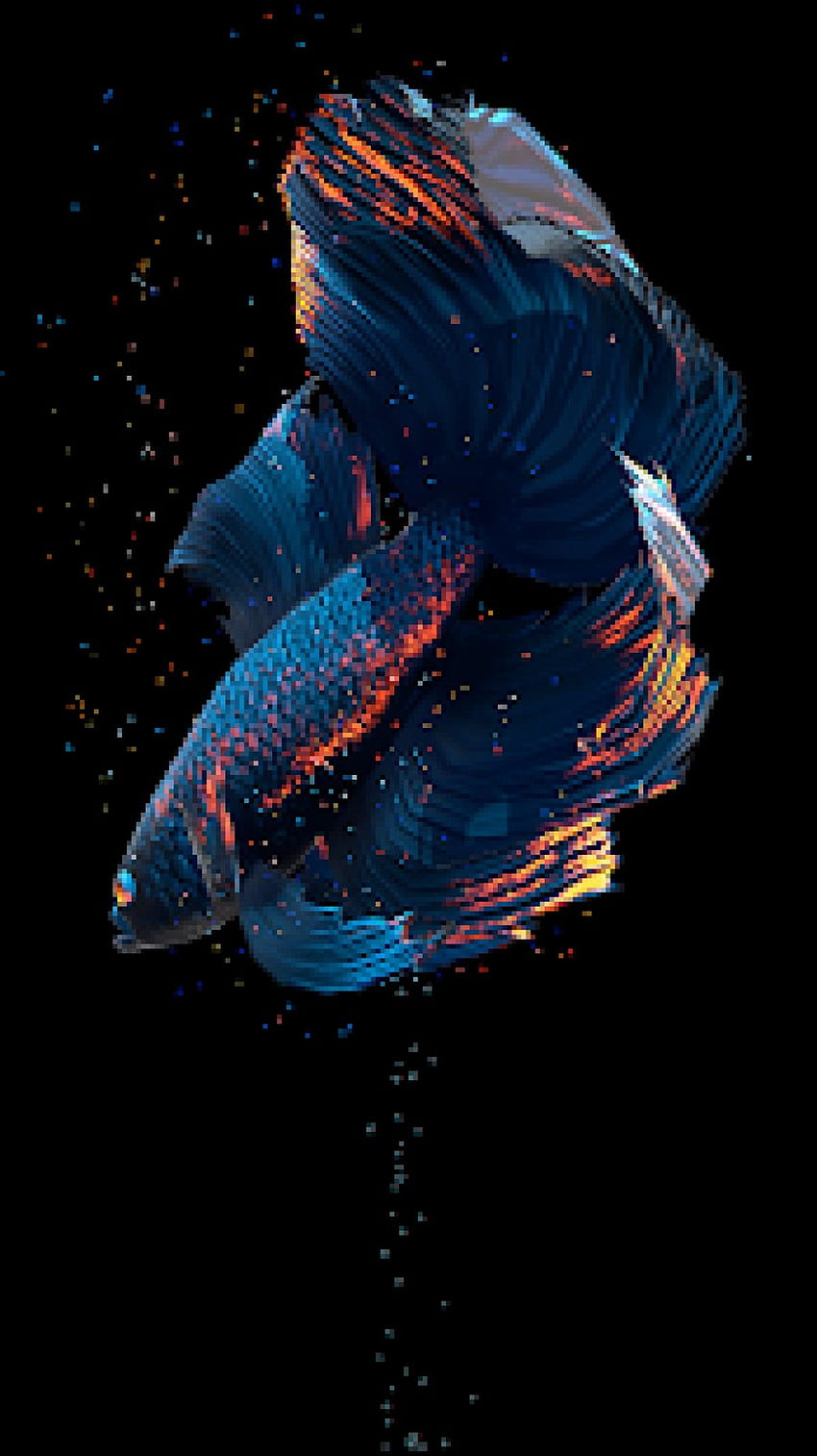 Betta Fish Live  HD phone wallpaper | Pxfuel