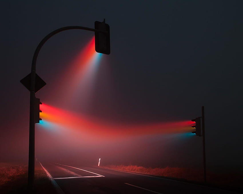 Postes de luz na neblina : papel de parede HD