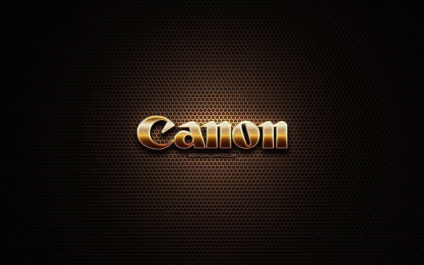 Brokatowe logo Canon, kreatywne, metalowe tło siatki, logo Canon, marki, Canon o rozdzielczości 2560x1600. Wysoka jakość, logo Tapeta HD