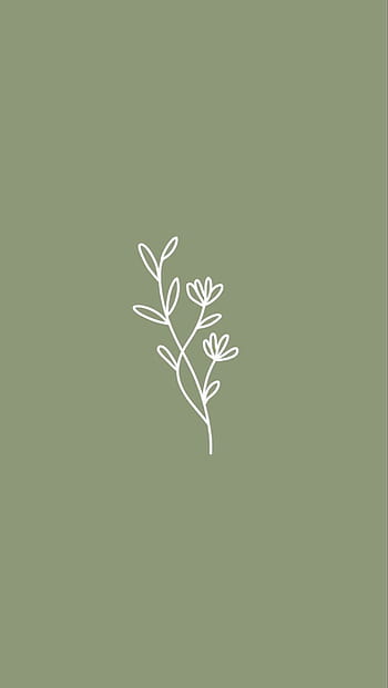 White and sage green HD wallpapers | Pxfuel