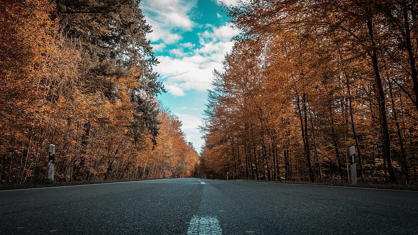 1920x1080 Alone Road Forest Autumn Golden Trees Ultra Laptop Full , Backgrounds, and, autumn 1920x1080 highway HD wallpaper