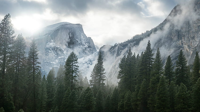 Национален парк Йосемити, природа, планина, дървета, мъгла, национален парк HD тапет