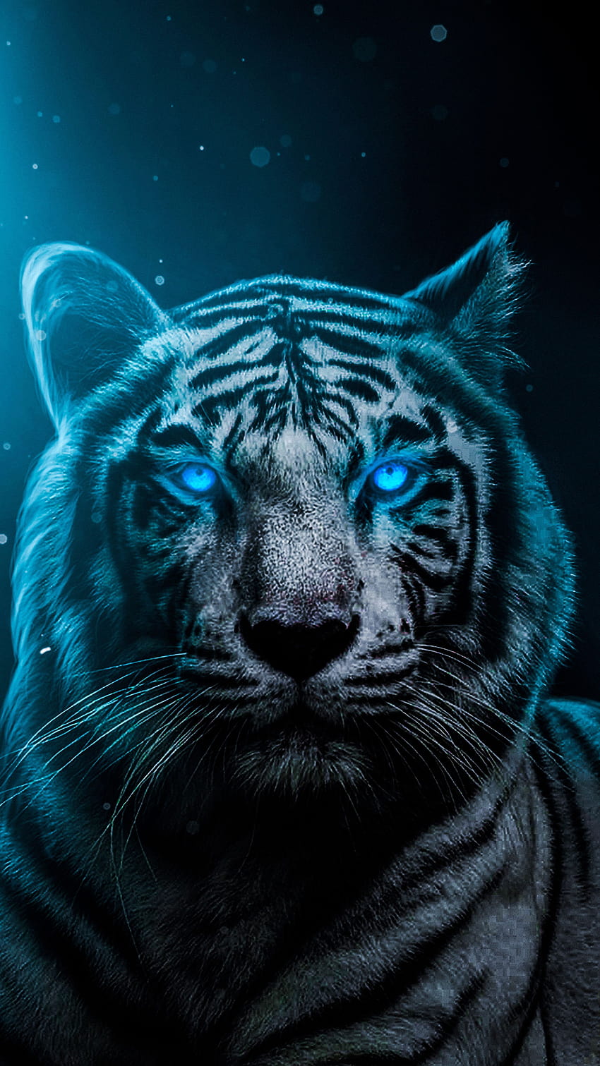 Tiger, iPhone Harimau Albino HD-Handy-Hintergrundbild