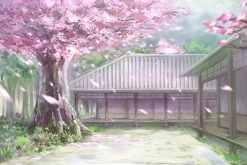 Kirschblüten-Anime-Landschaft, Anime-Kirschbäume HD-Hintergrundbild