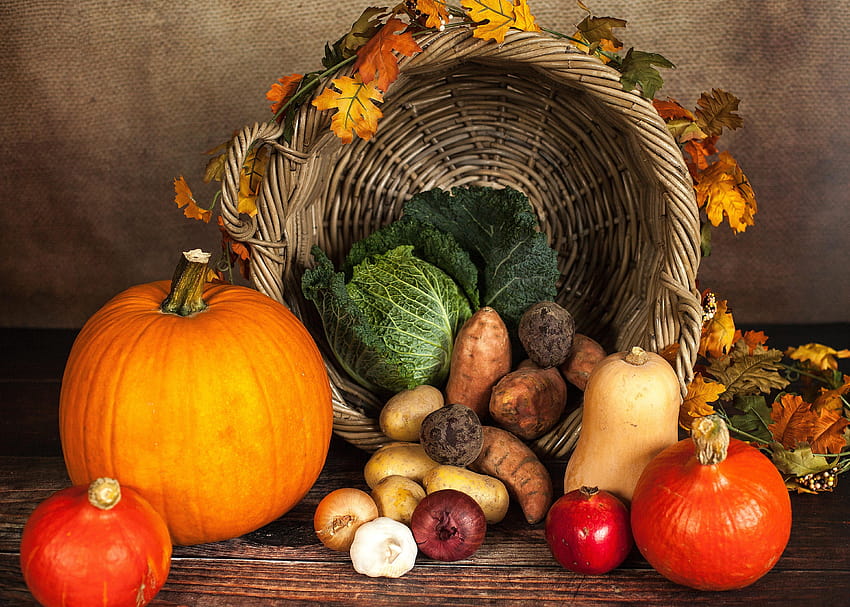 Vegetable and Crops Beside Spilled Basket · Stock, pumpkins and basket HD wallpaper