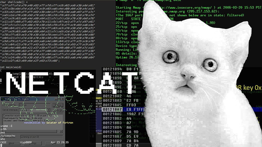 Packet Manipulation with netcat and scapy HD wallpaper