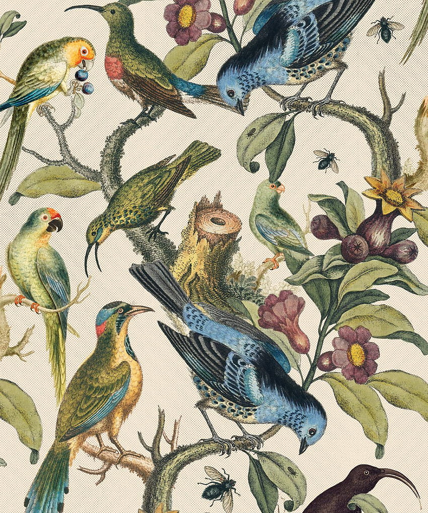 Ornitología • Diseño elegante de aves y ramas • Milton & King fondo de pantalla del teléfono