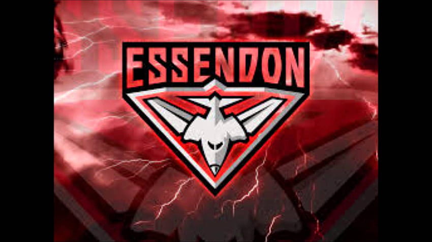Wie wirkt sich das Essendon-Verbot auf unsere SuperCoach-Mannschaften aus, Essendon Football Club HD-Hintergrundbild