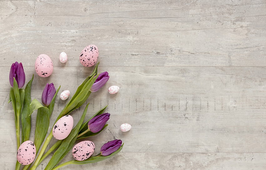 flowers, eggs, tulips, flowers, easter , section цветы, easter cover HD wallpaper