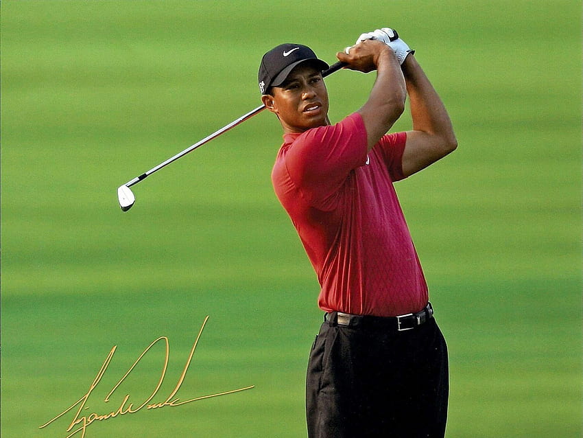 Tiger Woods Lovely Awesome Tiger Woods Pełne logo Tiger Woods Tapeta HD
