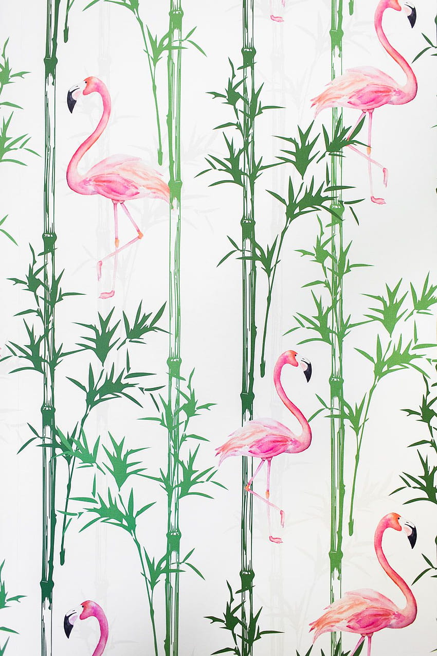 Tropic Like It's Hot: Before & After, st patricks day flamingos HD phone wallpaper