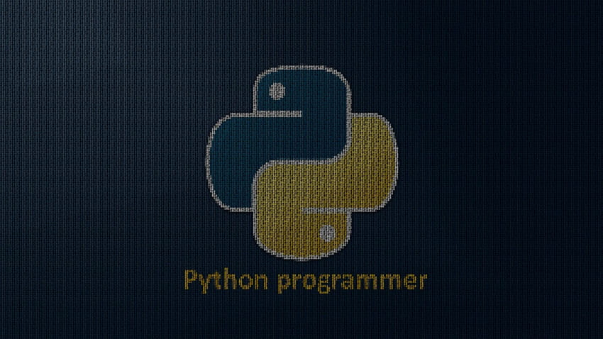 Python programmer HD wallpaper