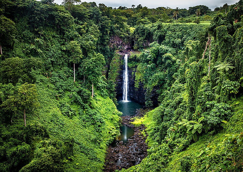 Samoa Crag Nature Waterfalls Tropics Bush HD wallpaper
