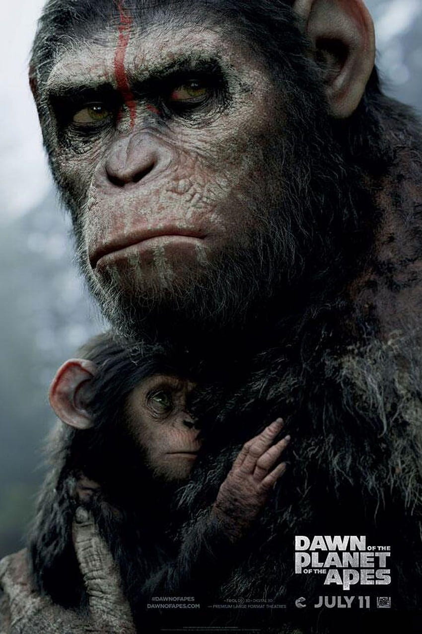 Зората на планетата на маймуните и планетата на маймуните Цезар HD тапет за телефон