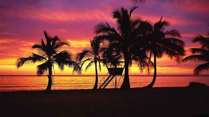 6 Sunrise Purple Hawaii Sunset, hawaiian sunset HD wallpaper