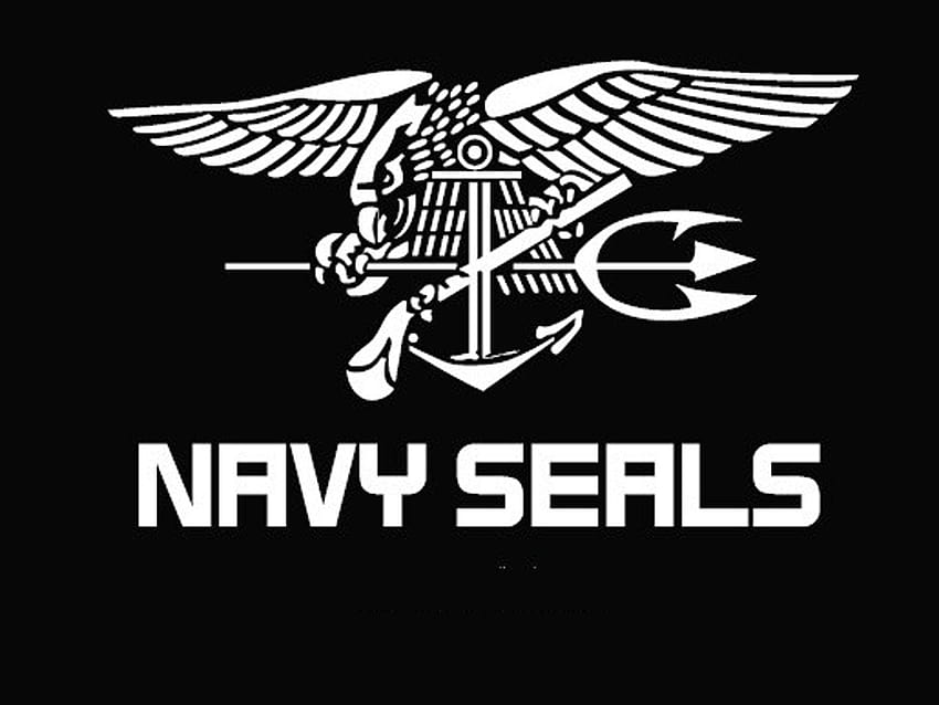 Assustador @ Johnnysean, logotipo do selo da marinha americana papel de parede HD