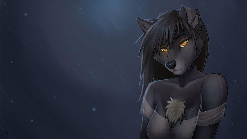 Wolf, furry HD wallpaper
