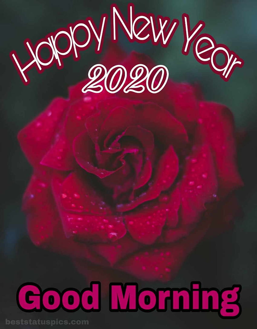 Good Morning Happy New Year 2020 Whatsapp Dp Status, best dp HD phone wallpaper