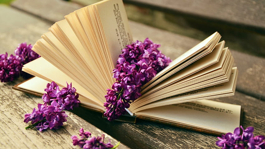 Lilac flowers and a good book Ultra HD wallpaper
